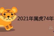 2021年屬虎74年的運氣怎麼樣 47歲運勢發展如何