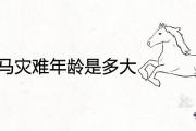 1966屬馬災難年齡是多大 一生大劫年的具體時間