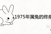 1975年屬兔的終身幸運色是什麼 2021年最吉祥的顏色