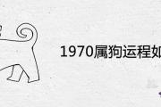1970屬狗運程如何 2021年是災難年嗎