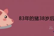 83年的豬38歲后命好是真的嗎 2021年運勢詳細解析