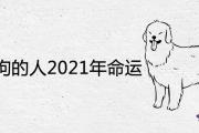 70年屬狗的人2021年命運好嗎