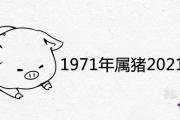 1971年屬豬2021年運勢預測吉兇 全年運程分析