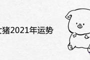 83女豬2021年運勢怎麼樣 流年運程是吉是兇