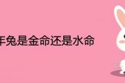 63年兔是金命還是水命 一生命運如何
