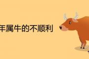 2021年屬牛的不順利是真的嗎 今年全年運勢怎麼樣