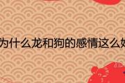 為什麼龍和狗的感情這麼好 雙方的運勢運程怎麼樣