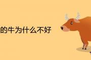 臘月的牛為什麼不好