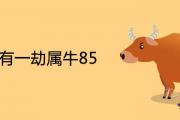 36歲有一劫屬牛85具體是什麼災難