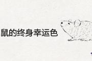 84年屬鼠的終身幸運色