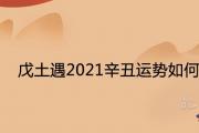 戊土遇2021辛丑運勢如何