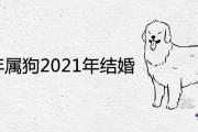1994年屬狗2021年結婚好不好 有哪些注意事項