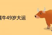 73屬牛49歲大運運勢運程如何