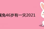 75年屬兔46歲有一災2021 流年運勢解析