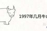 1997年幾月牛命苦