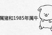 1983年屬豬和1985年屬牛