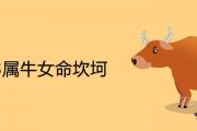 1973屬牛女命坎坷為什麼 一生有什麼災難
