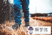 好聽的秦姓女孩名字2021