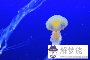 好聽的王姓女孩名字2021