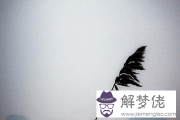 清平樂電視劇經典臺詞