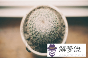 稀少好聽的單字ID