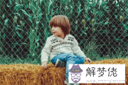 李姓男孩名字大全屬牛