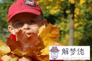 屬鼠男寶寶最吉利名字