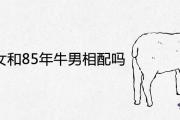 91年羊女和85年牛男相配嗎