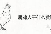 屬雞人干什麼發財 最適合的行業職業