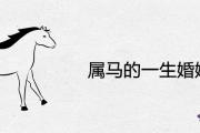 屬馬的一生婚姻