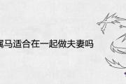 屬龍和屬馬適合在一起做夫妻嗎