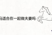 屬馬和屬馬適合在一起做夫妻嗎