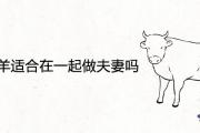 屬牛和屬羊適合在一起做夫妻嗎