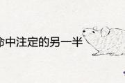 屬鼠人命中注定的另一半