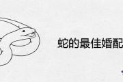 蛇的最佳婚配屬相