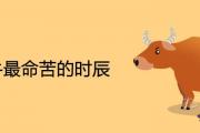 屬牛最命苦的時辰 幾點出生不好