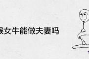 男猴女牛能做夫妻嗎
