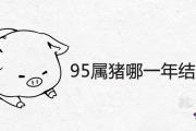 95屬豬哪一年結婚最好