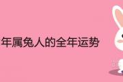 2022年屬兔人的全年運勢詳解