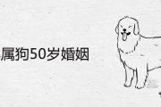 70年屬狗50歲婚姻運勢如何