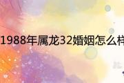 1988年屬龍32婚姻怎麼樣 2020年感情運勢如何