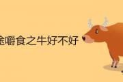 路途嚼食之牛好不好 2021年金牛是什麼命格
