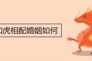 龍和虎相配婚姻如何 00年男生最佳婚配屬相