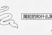 屬蛇的和什麼屬相配