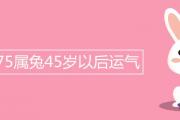 1975屬兔45歲以后運氣