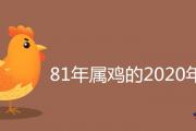 81年屬雞的2020年運勢