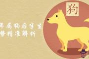 1982年屬狗后半生運勢解夢佬解析