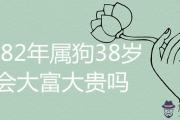 1982年屬狗38歲后會大富大貴嗎 何時交大運