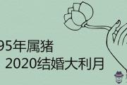 1995年屬豬2020結婚大利月是什麼