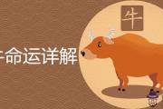 屬牛的命運怎麼樣詳解